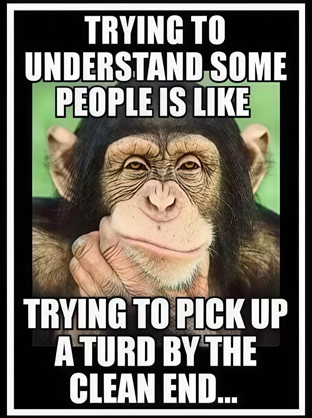 TRYING TO UNDERSTAND SOME PEOPLE IS LIKE TRYING TO PICK UP A TURD BY THE CLEAN END...