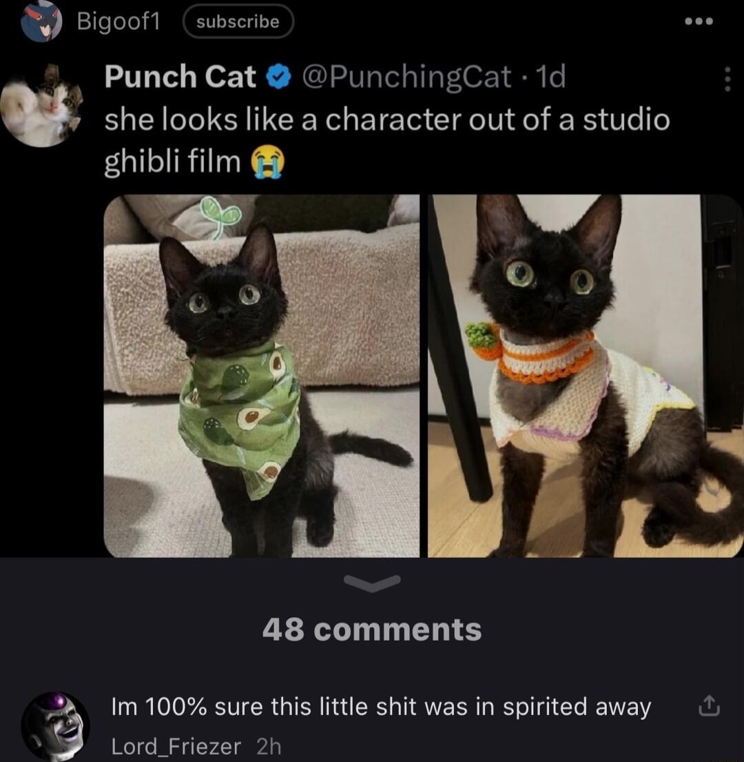 Bigoof1 subscrive Punch Cat PunchingCat 1d she looks like a character out of a studio ghibli film 48 comments Im100 sure this little shit was in spirited away 9 Lord_Friezer 2h