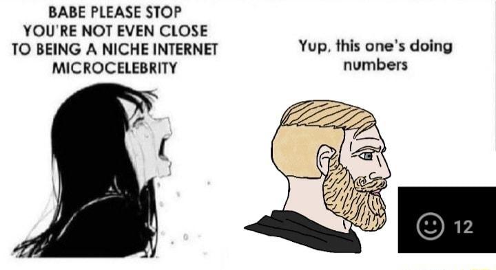 BABE PLEASE STOP YOURE NOT EVEN CLOSE TO BEING A NICHE INTERNET Yup this ones doing MICROCELEBRITY numbers