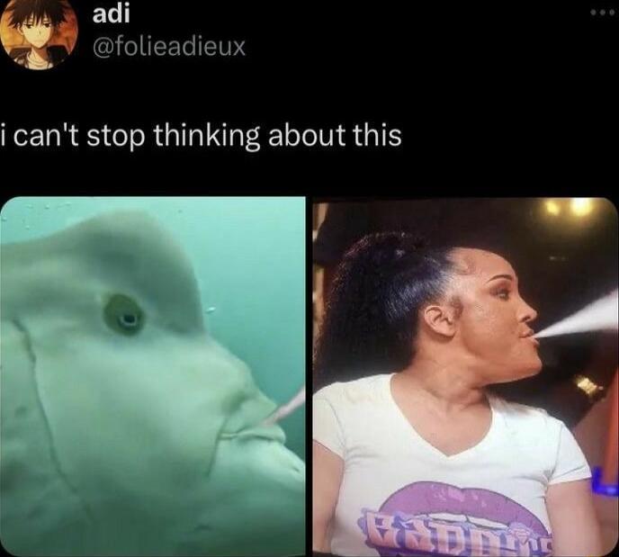 adi folieadieux i cant stop thinking about this