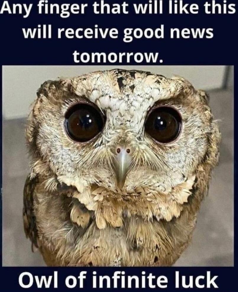 will receive good news tomorrow OwI of nfnte Iuck