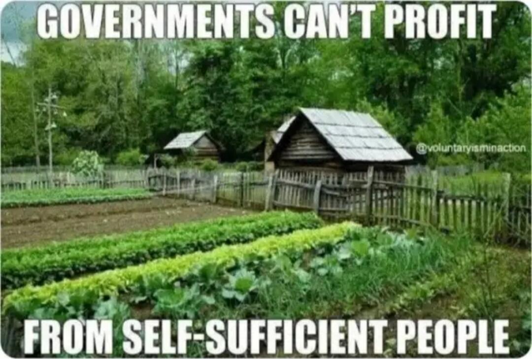 GOVERNMENTS CAN'T PROFIT FROM SELF-SUFFICIENT PEOPLE @voluntaryisminaction