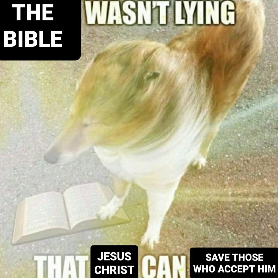 THE WASNTILYING A RISSTE 0 T T chrisT I AN WHO ACCEPT HIM