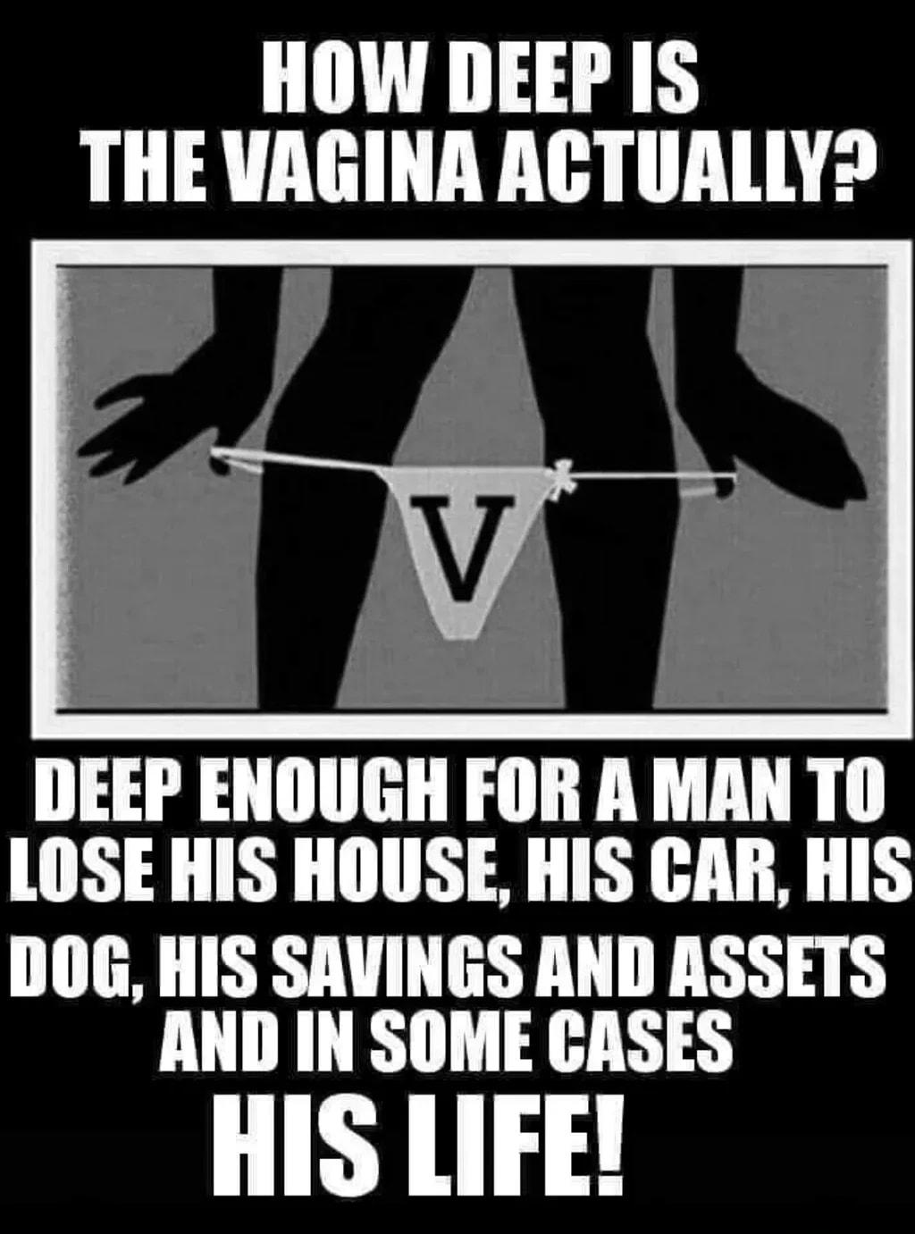 HOW DEEP IS THEVAGINA ACTUALLY DEEP ENOUGH FOR AMAN TO LOSE HIS HOUSE HIS CAR HIS DOG HIS SAVINGS AND ASSETS AND IN SOME CASES HIS LIFE