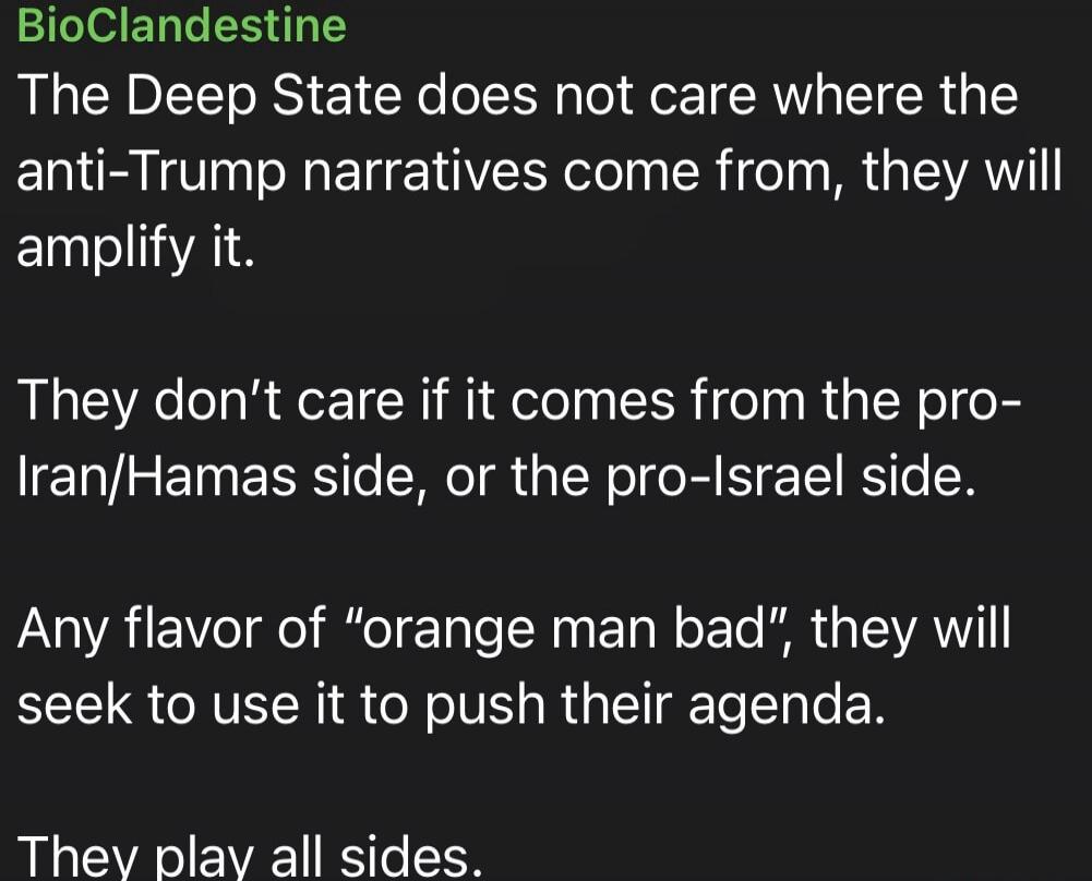 BioClandestine
The Deep State does not care where the anti-Trump narratives come from, they will amplify it.

They don't care if it comes from the pro-Iran/Hamas side, or the pro-Israel side.

Any flavor of 