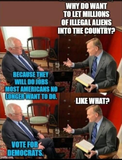 WHY DO WANT TO LET MILLIONS OF ILLEGAL ALIENS INTO THE COUNTRY? BECAUSE THEY WILL DO JOBS MOST AMERICANS NO LONGER WANT TO DO. LIKE WHAT? VOTE FOR DEMOCRATS.