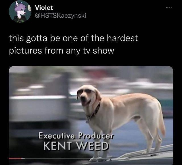 A Violet HSTSKaczynski this gotta be one of the hardest SIS OTEER el R Ta A VA a el 1102 AM 2022 06 16 Twitter Web App