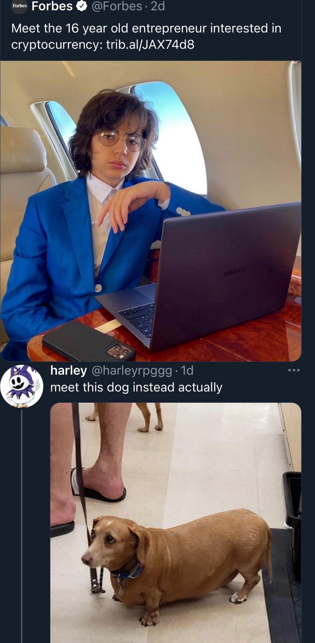 Forbes Forbes 2d Meet the 16 year old entrepreneur interested in ICTT UG RN LY 2 6 CRGHER Y lsTeTe R meet this dog instead actually