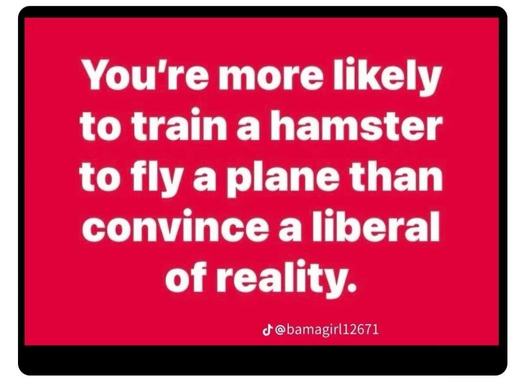 You're more likely to train a hamster to fly a plane than convince a liberal of reality.