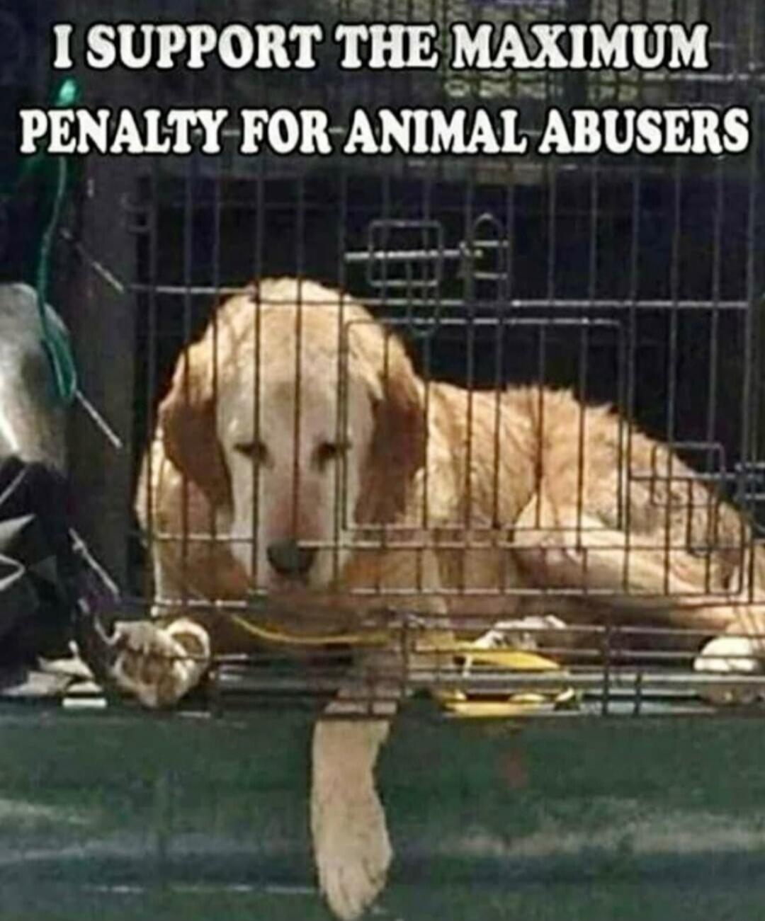I SUPPORT THE MAXIMUM PENALTY FOR ANIMAL ABUSERS