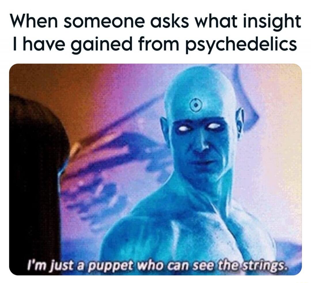 When someone asks what insight I have gained from psychedelics
I'm just a puppet who can see the strings.