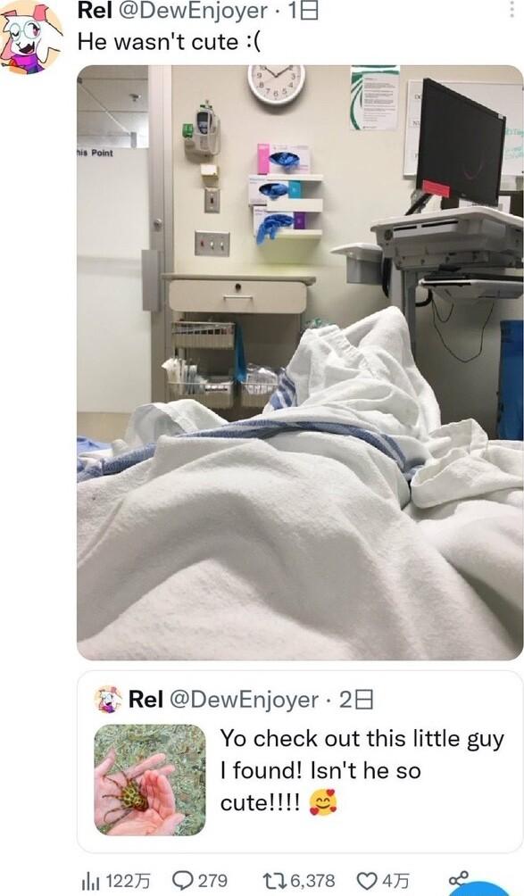 N Rel DewEnjoyer 10 He wasnt cute Rel DewEnjoyer 2H Yo check out this little guy found Isnt he so cutelll 1225 Q279 1163718 Q4F oCan