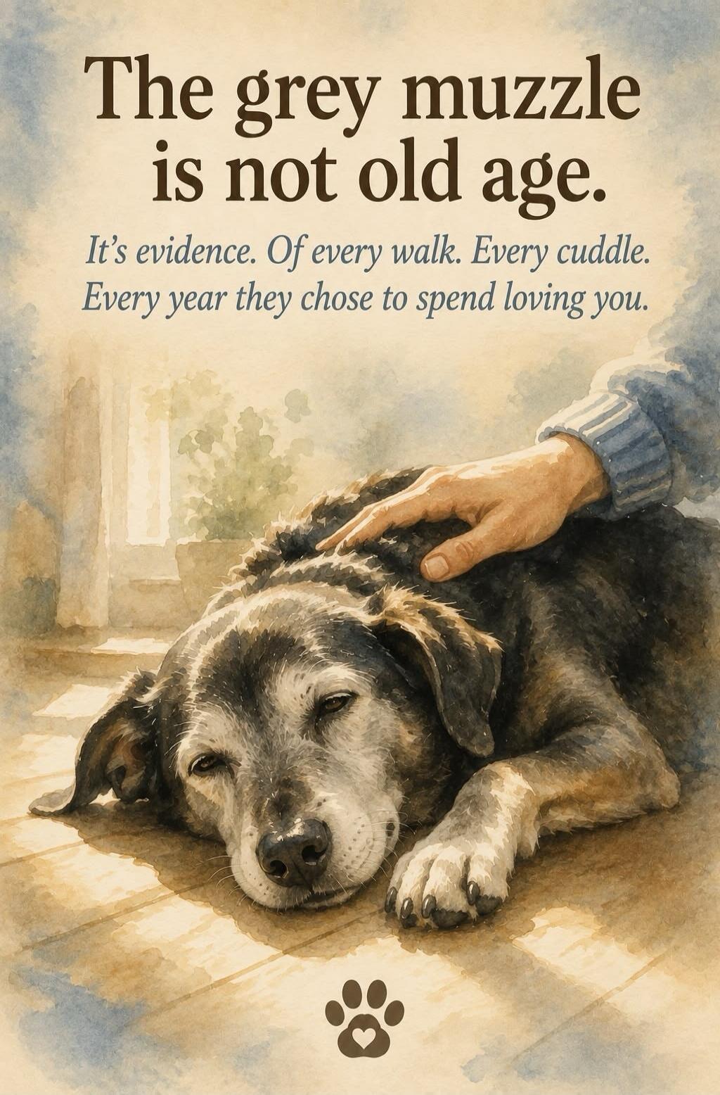 The grey muzzle is not old age. It's evidence. Of every walk. Every cuddle. Every year they chose to spend loving you.