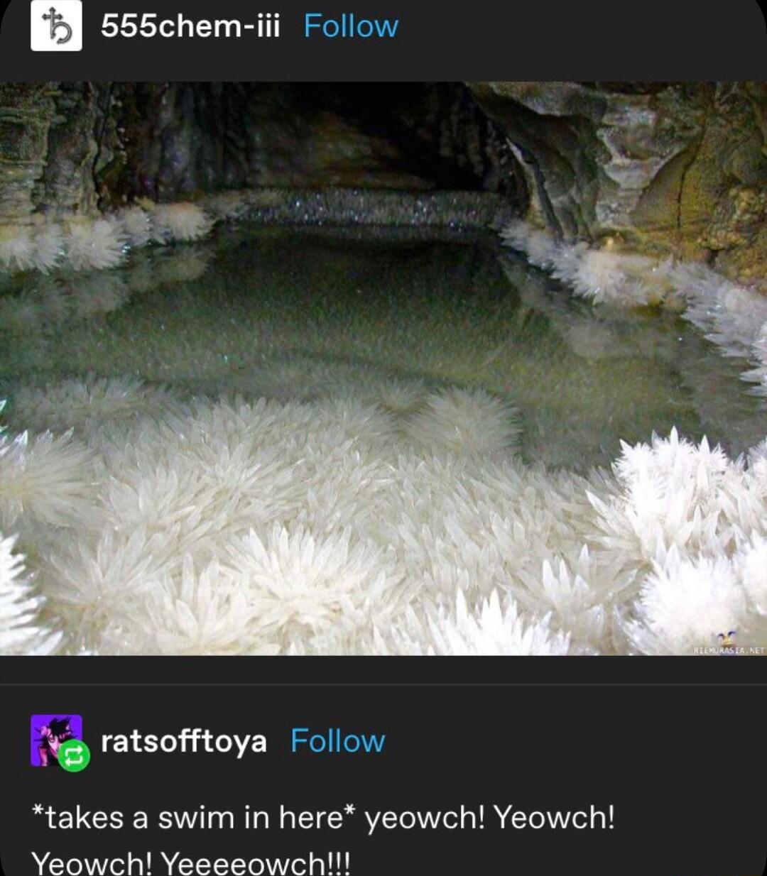555chem iii ratsofftoya takes a swim in here yeowch Yeowch Yeowch Yeeeeowch