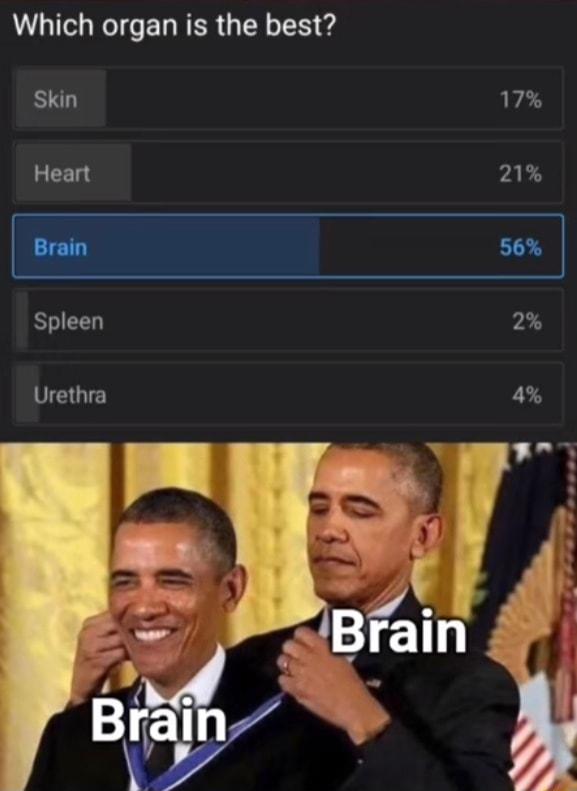 Which organ is the best Skin 17 SEET AR Brain 56 Spleen 2 Urethra 4