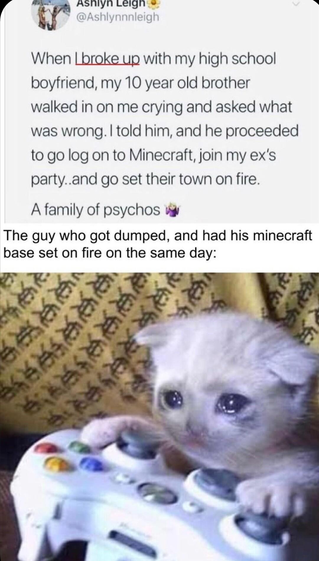 r fr ASTHYN Legines P When Lbroke up with my high school boyfriend my 10 year old brother walked in on me crying and asked what was wrong told him and he proceeded to go log on to Minecraft join my exs partyand go set their town on fire A family of psychos W The guy who got dumped and had his minecraft base set on fire on the same day