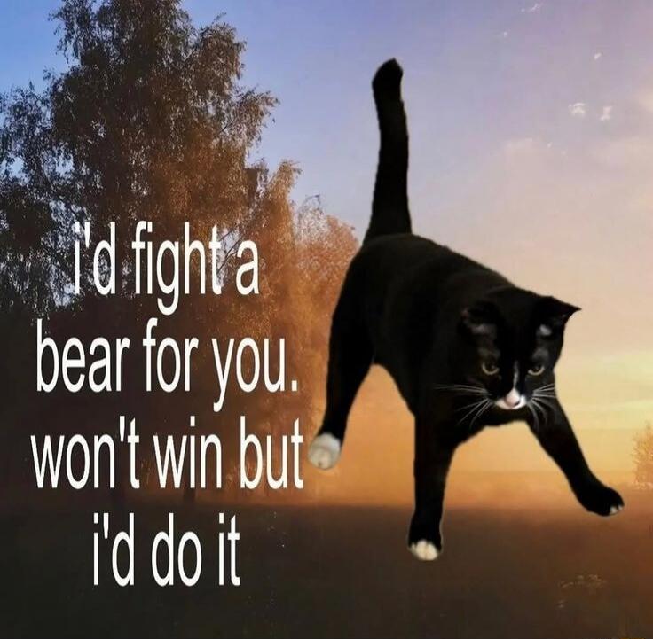 I'd fight a bear for you. won't win but I'd do it