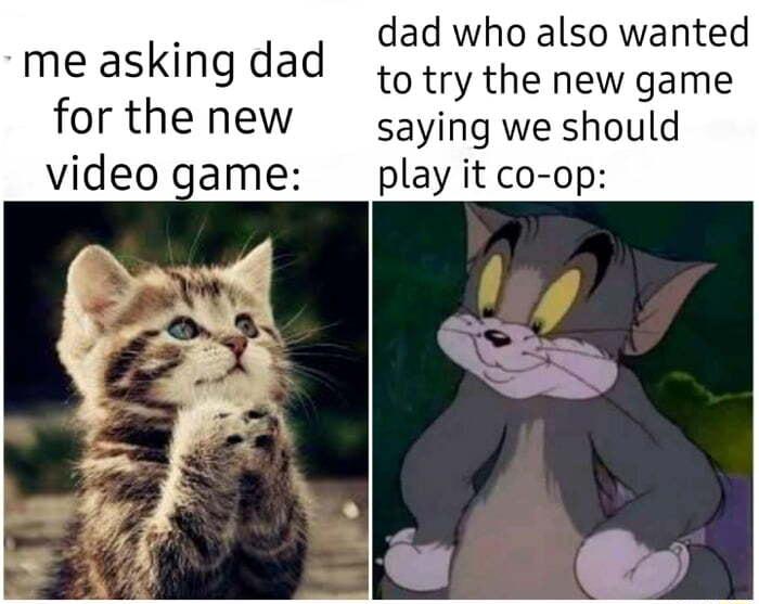 dad who also wanted me askingdad try the new game forthe new saying we should 2 play it co op