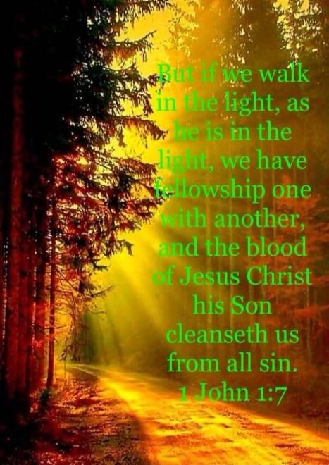 But if we walk in the light, as he is in the light, we have fellowship one with another, and the blood of Jesus Christ his Son cleanseth us from all sin. 1 John 1:7