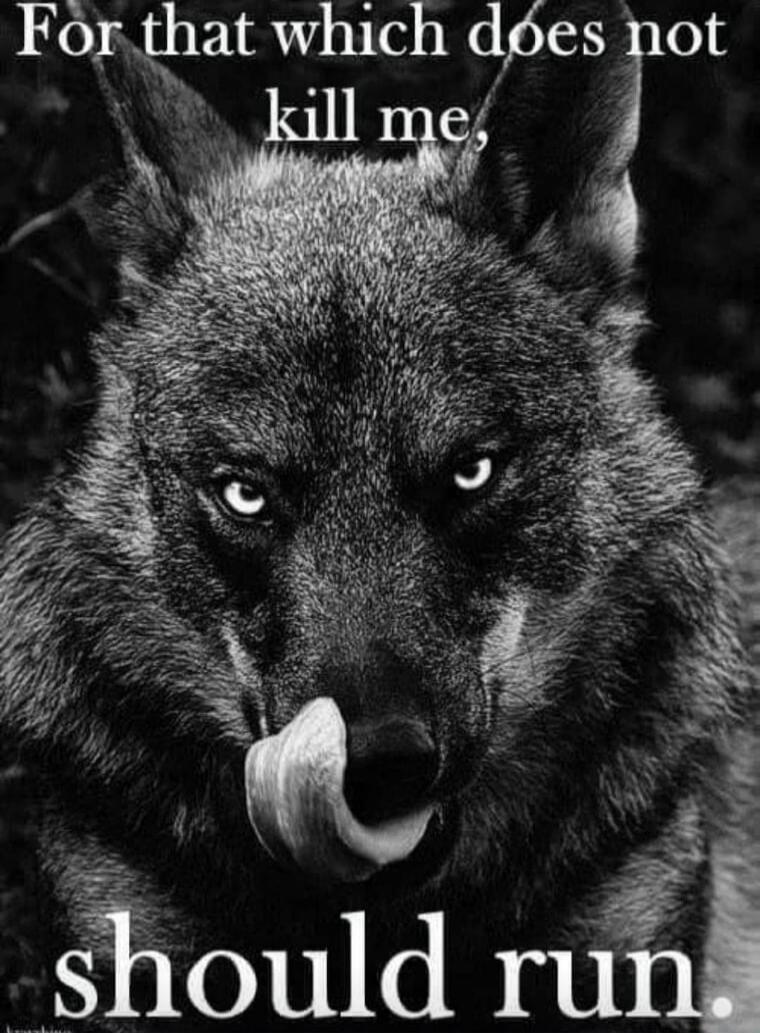 For that which does not kill me, should run.