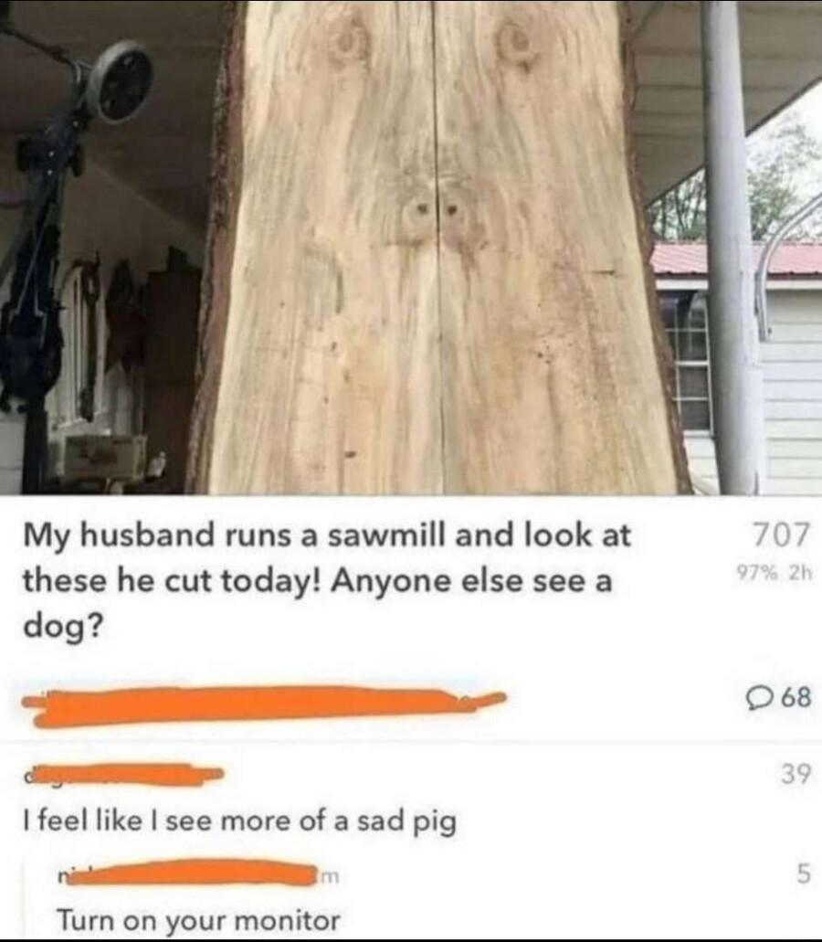 My husband runs a sawmill and look at these he cut today Anyone else see a dog o6 Ifeel like see more of a sad pig Turn on your monitor