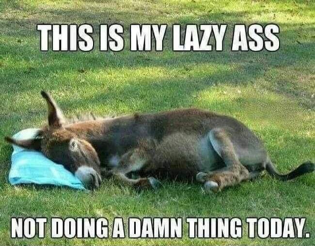 THIS IS MY LAZY ASS NOT DOING A DAMN THING TODAY.