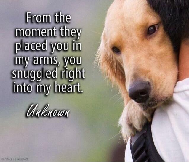 From the moment they placed you in my arms, you snuggled right into my heart. Unknown