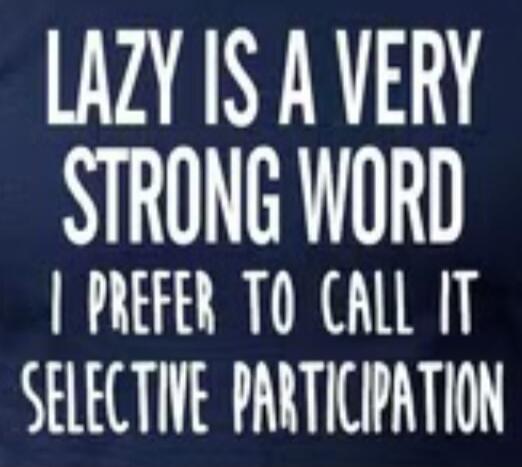 LAZY IS A VERY STRONG WORD I PREFER TO CALL IT SELECTIVE PARTICIPATION