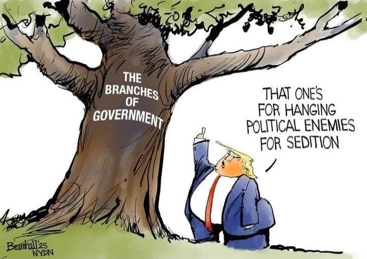 THE BRANCHES OF GOVERNMENT
That one's for hanging political enemies for sedition