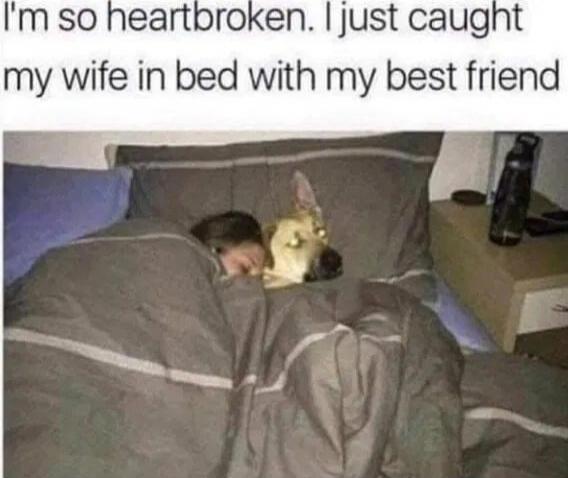 I'm so heartbroken. I just caught my wife in bed with my best friend