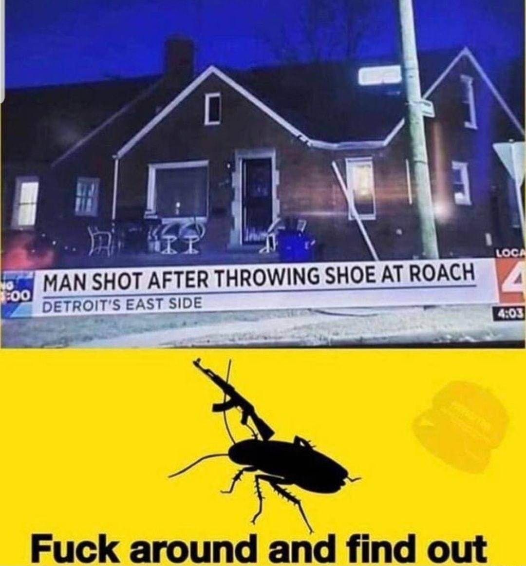 i NING SHOE AT ROACH