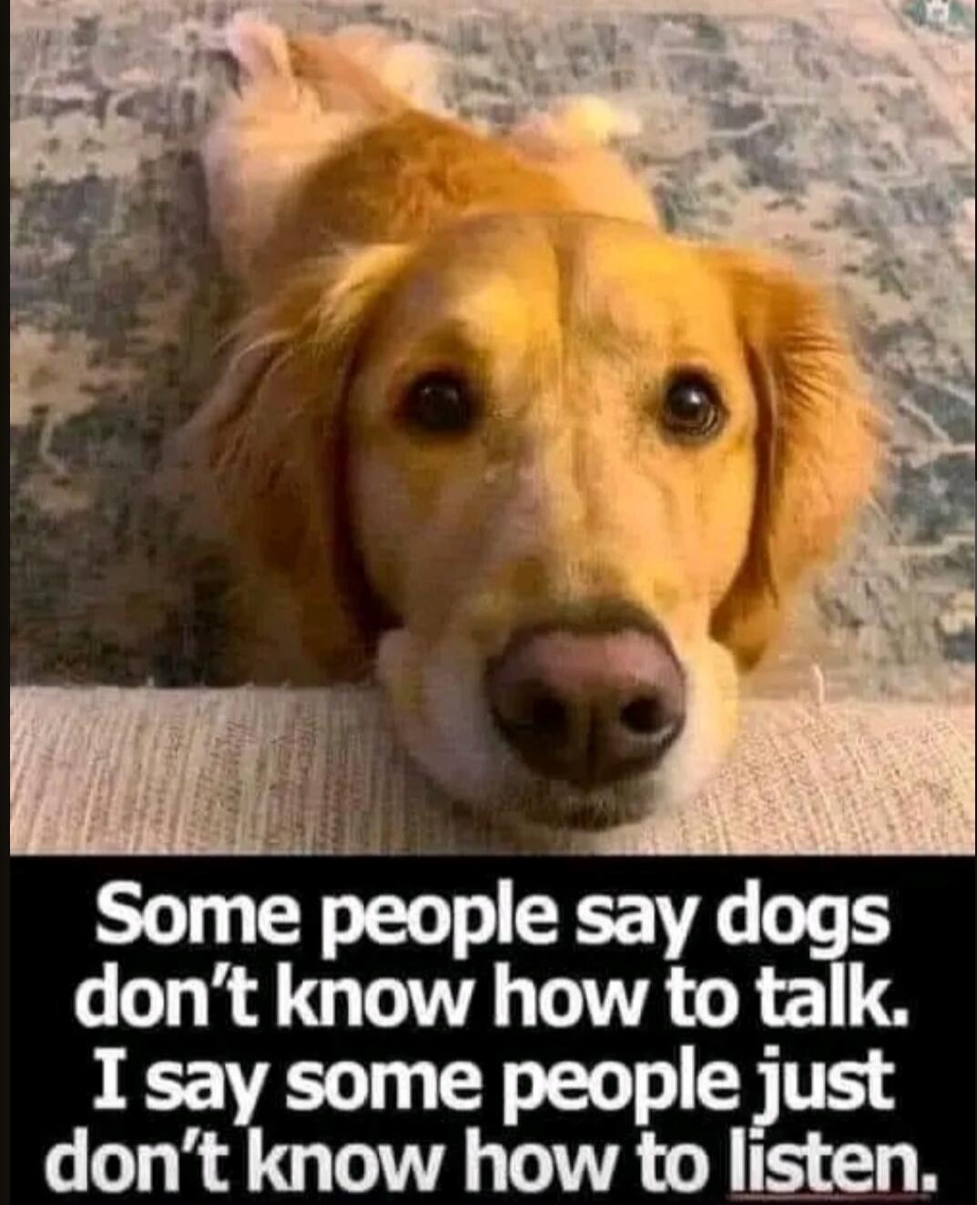 Some people say dogs don't know how to talk. I say some people just don't know how to listen.
