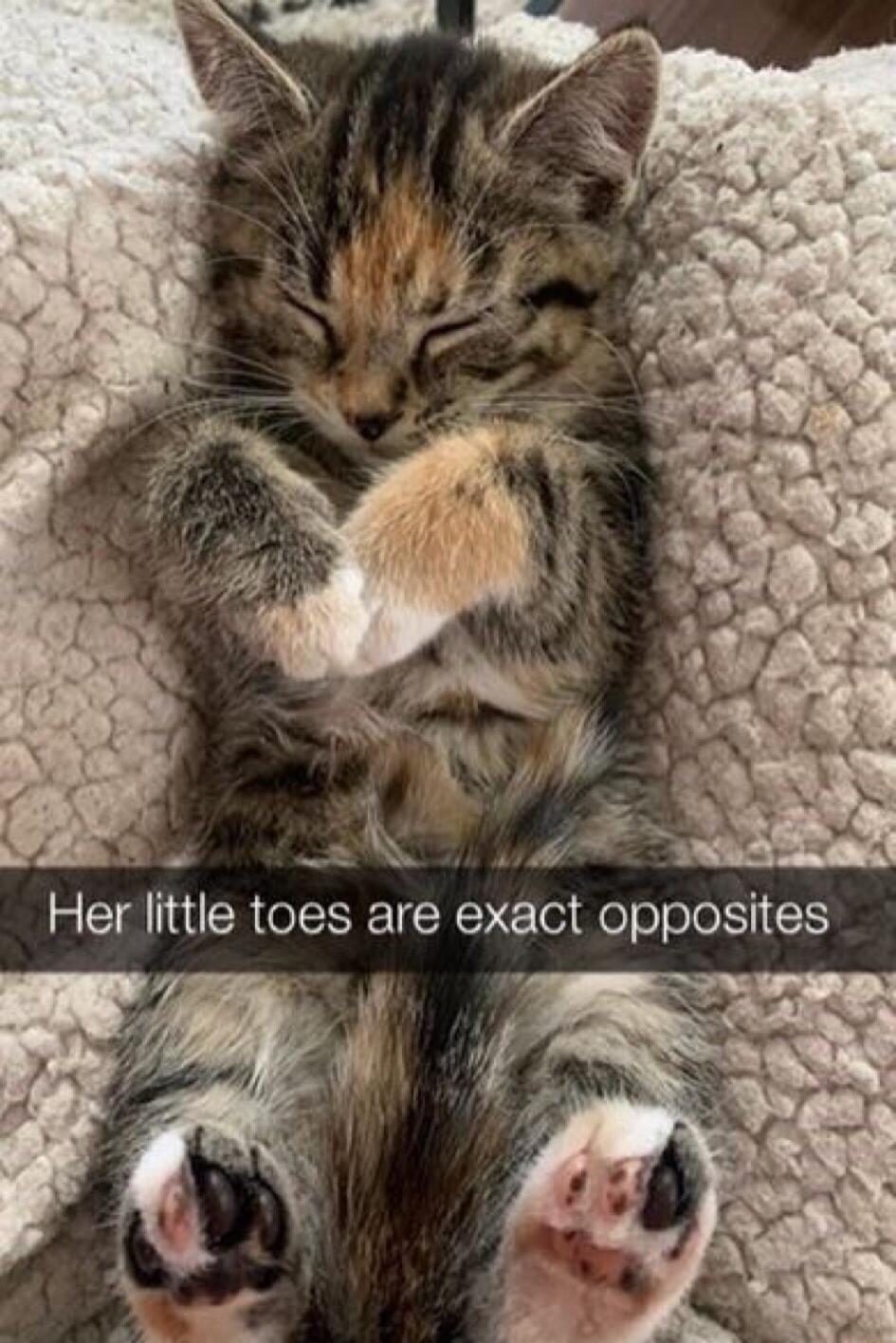 Her little toes are exact opposites