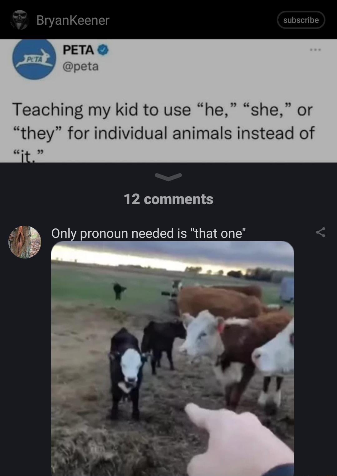 peta Teaching my kid to use he she or they for individual animals instead of 12 comments 4 Onli pronoun needed is that one i