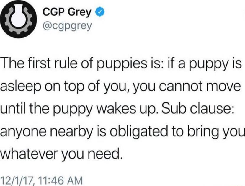 The first rule of puppies is: if a puppy is asleep on top of you, you cannot move until the puppy wakes up. Sub clause: anyone nearby is obligated to bring you whatever you need.