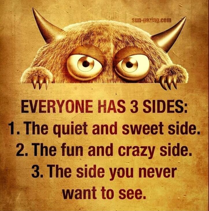 EVERYONE HAS 3 SIDES:
1. The quiet and sweet side.
2. The fun and crazy side.
3. The side you never want to see.