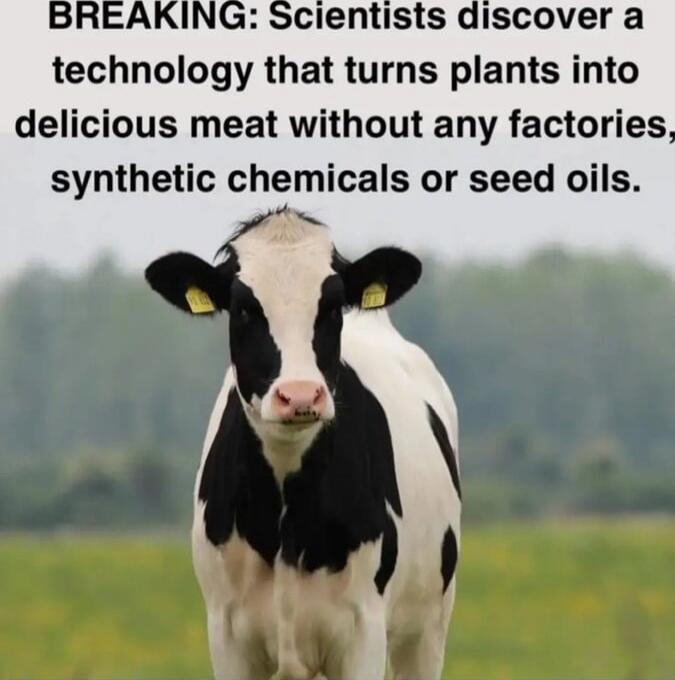 BREAKING: Scientists discover a technology that turns plants into delicious meat without any factories, synthetic chemicals or seed oils.