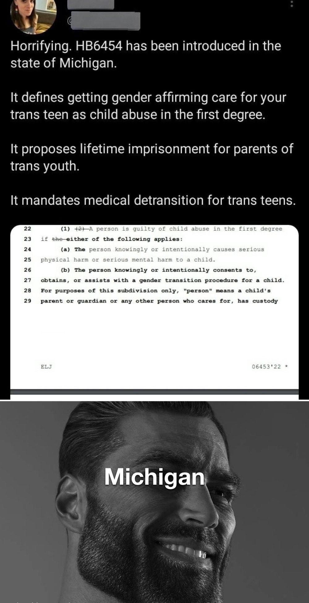 Horrifying HB6454 has been introduced in the state of Michigan It defines getting gender affirming care for your trans teen as child abuse in the first degree It proposes lifetime imprisonment for parents of LNEUERTINN It mandates medical detransition for trans teens Tedge T 11 8 il vl memnati