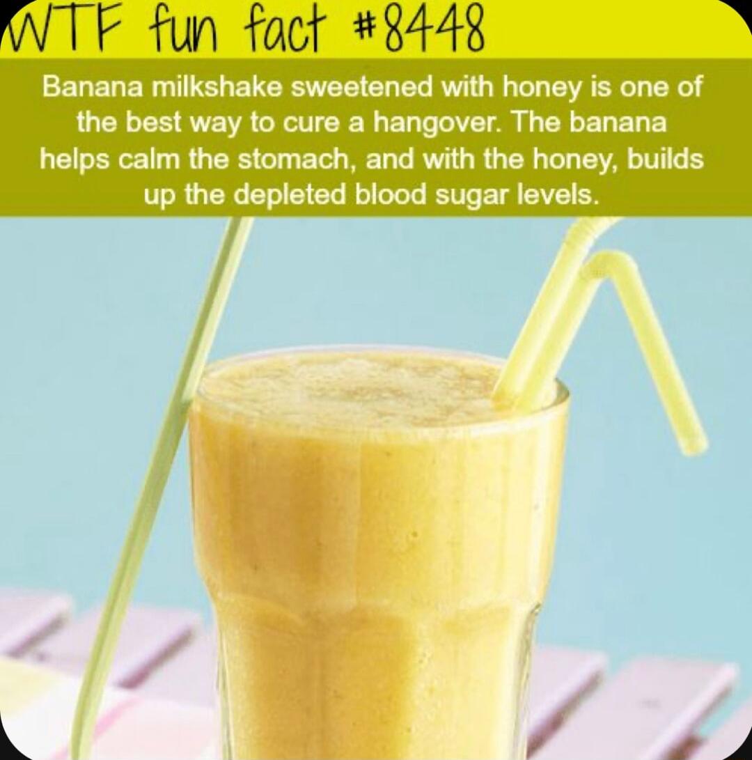 WTF fun foct 8448 ELELERTEL ETEREEER EL RV E WL EVE R R the best way to cure a hangover The banana helps calm the stomach and with the honey builds up the depleted blood sugar levels