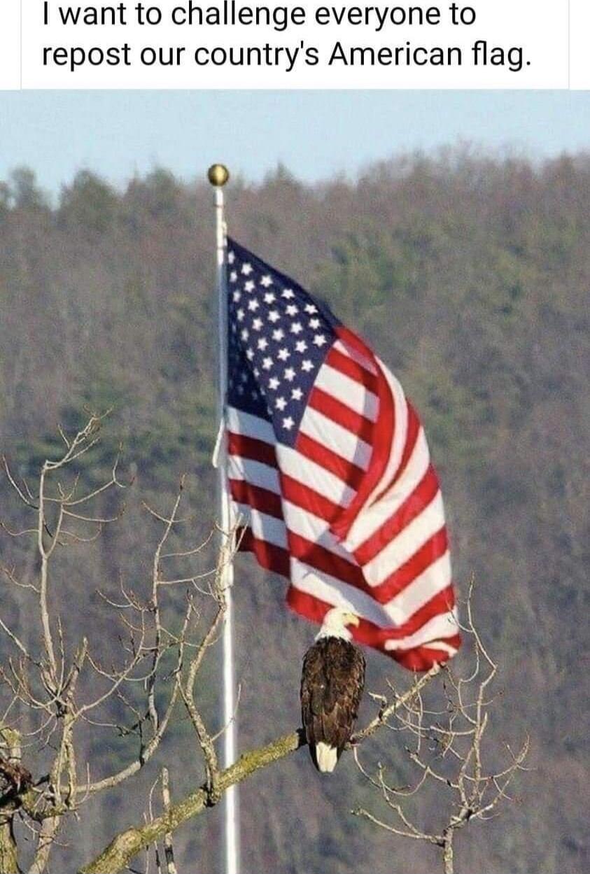 I want to challenge everyone to repost our country's American flag.