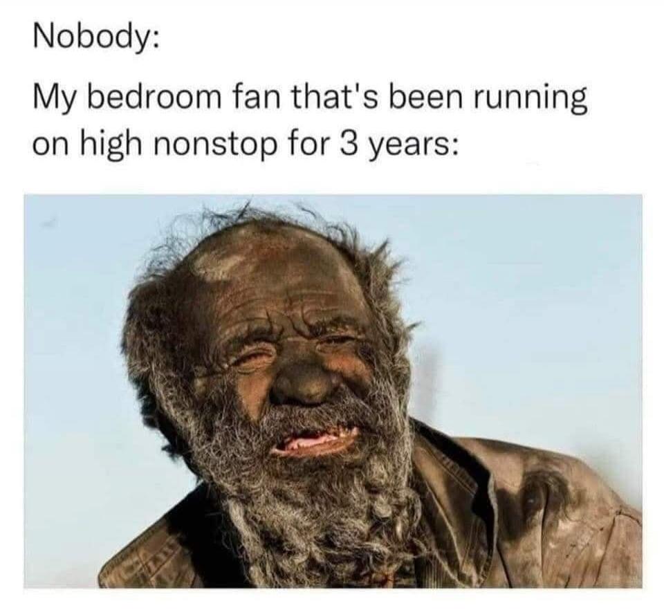 Nobody: My bedroom fan that's been running on high nonstop for 3 years: