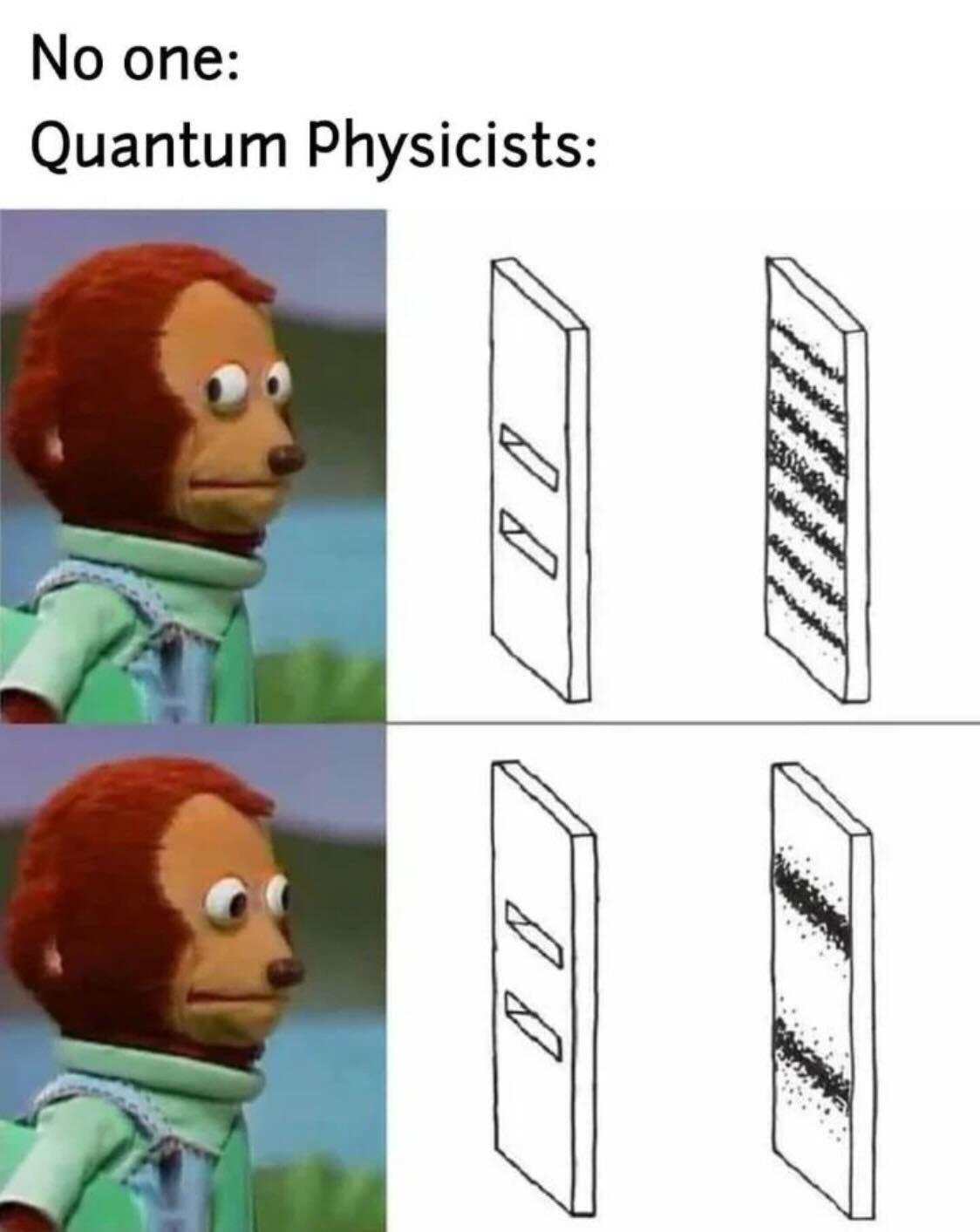 No one Quantum Physicists