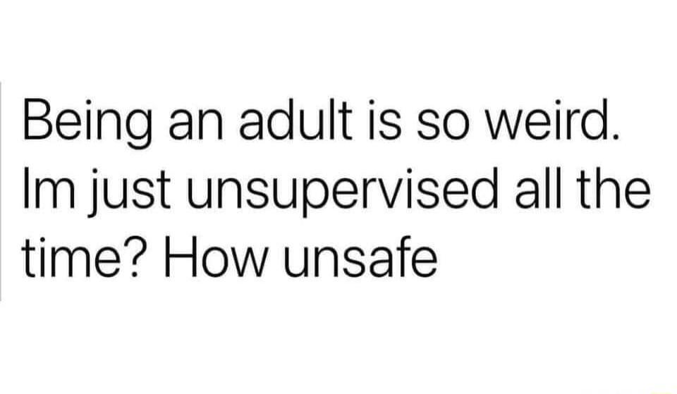 Being an adult is so weird Im just unsupervised all the time How unsafe