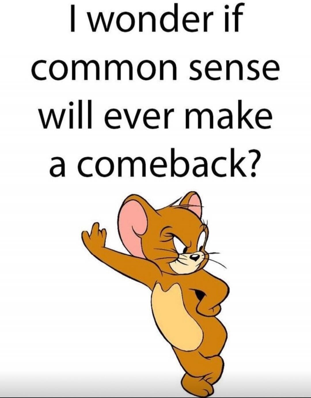 I wonder if common sense will ever make a comeback?