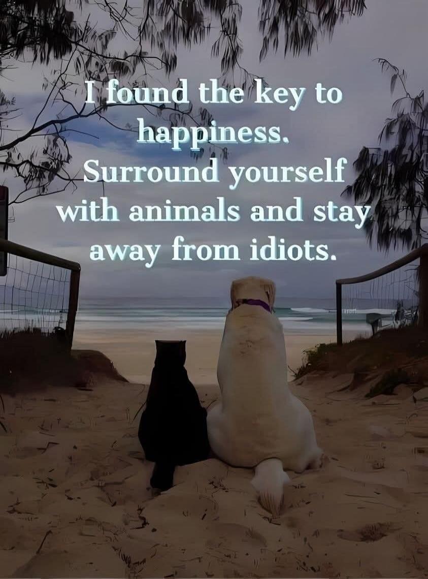 I found the key to happiness. Surround yourself with animals and stay away from idiots.