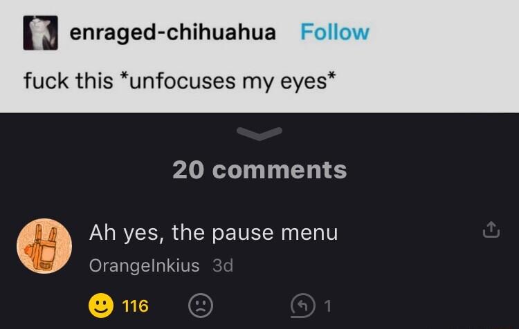 n enraged chihuahua fuck this unfocuses my eyes 20 comments LRYCERR N EVEN Y Orangelnkius