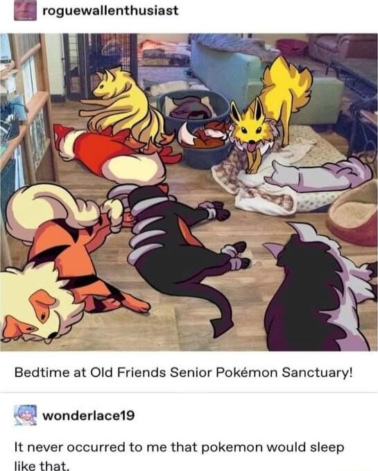 roguewallenthusiast Bedtime at Old Friends Senior Pokmon Sanctuary 7 wonderlace19 It never occurred to me that pokemon would sleep e that