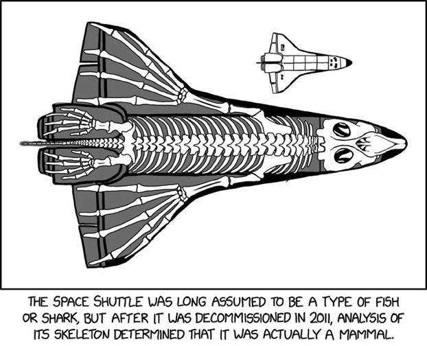 oA 4 A THE SPACE SHUTTLE WAS LONG ASSUMED TO BE A TYPE OF FISH OR SHARK BUT AFTER T WAS DECOMMISSIONED IN 201l ANALY5IS OF ITS SKELETON DETERMINED THAT T WAS ACTUALLY A MAMMAL