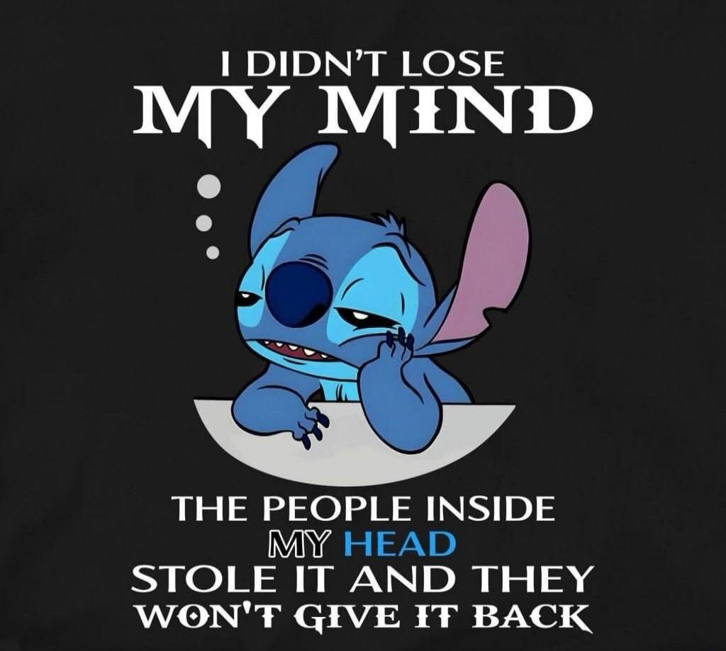 I DIDN'T LOSE MY MIND THE PEOPLE INSIDE MY HEAD STOLE IT AND THEY WON'T GIVE IT BACK