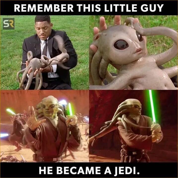 REMEMBER THIS LITTLE GUY HE BECAME AEDI